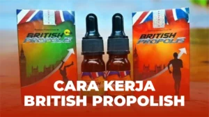 cara-kerja-british-propolis